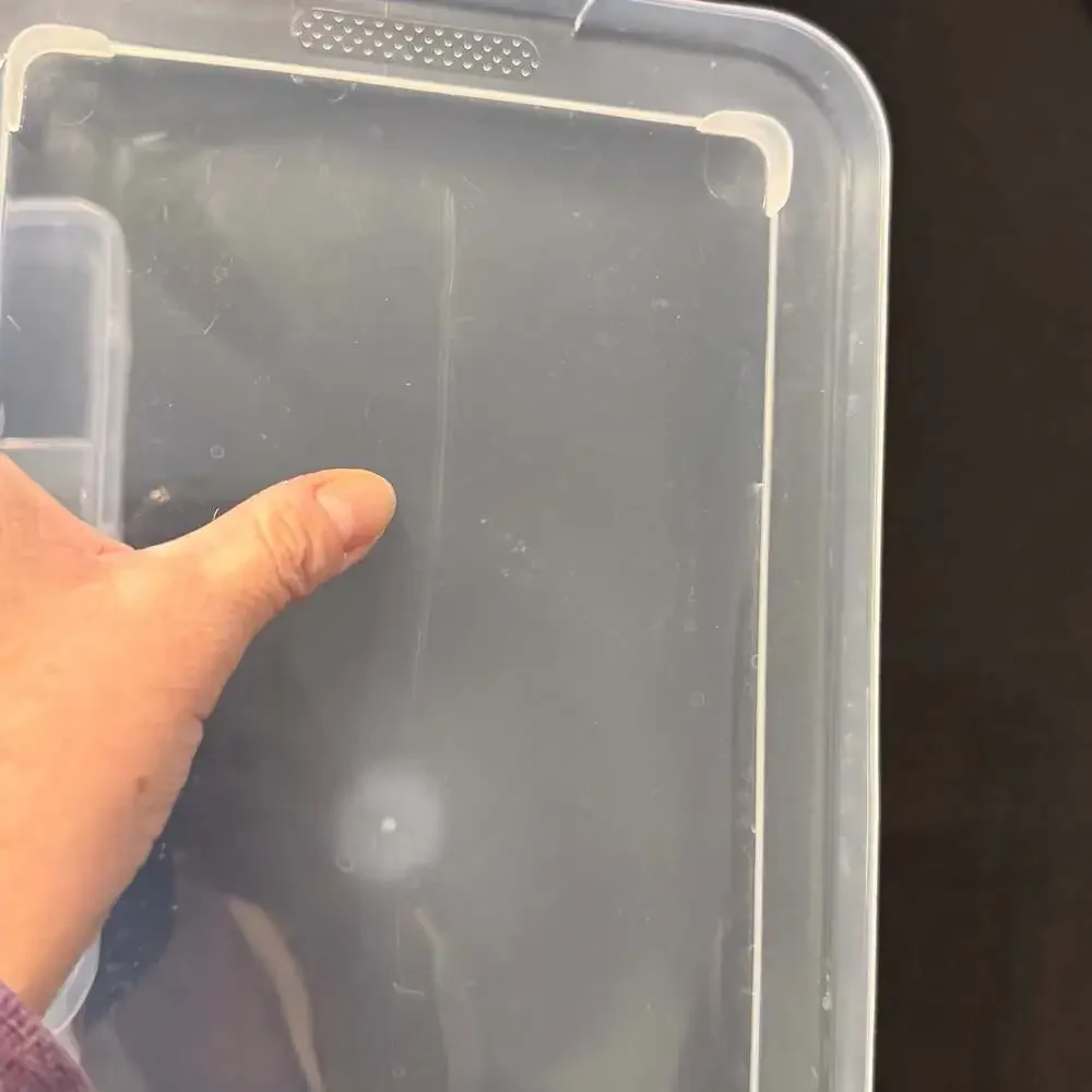 Boston Red Sox MLB Clear Plastic Storage Box with Lid